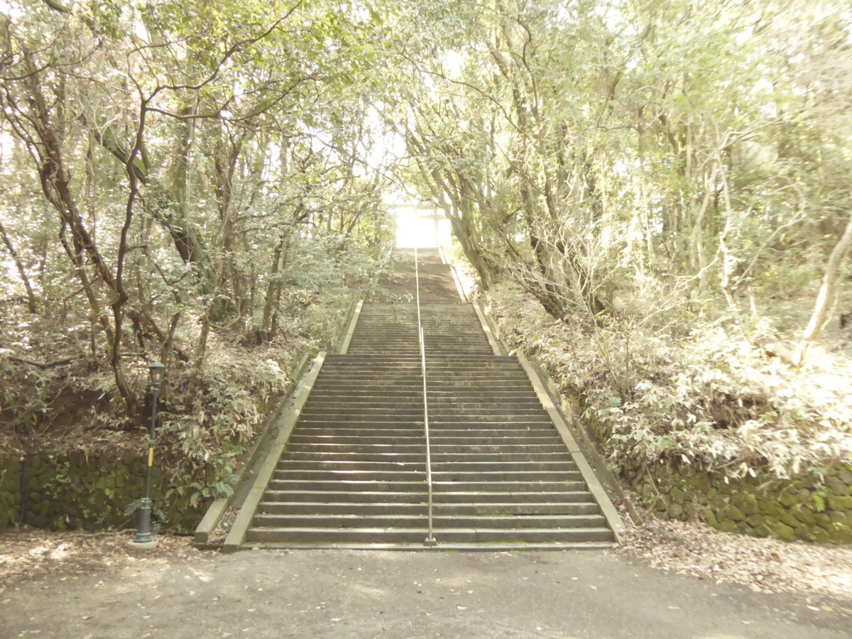 f:id:bluetears_osaka:20190311141144j:plain