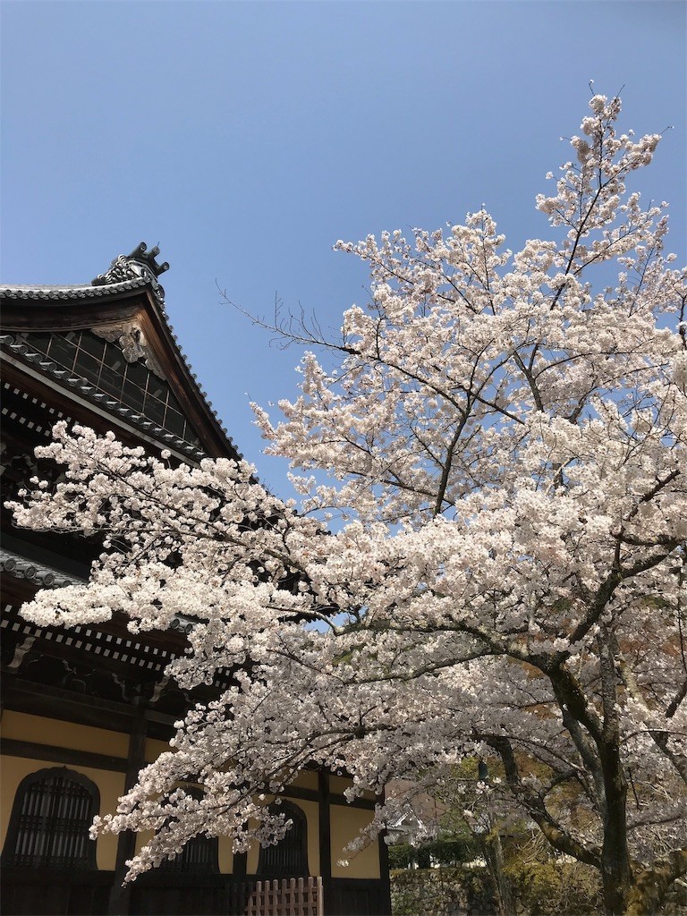 f:id:bluetears_osaka:20190407231834j:image