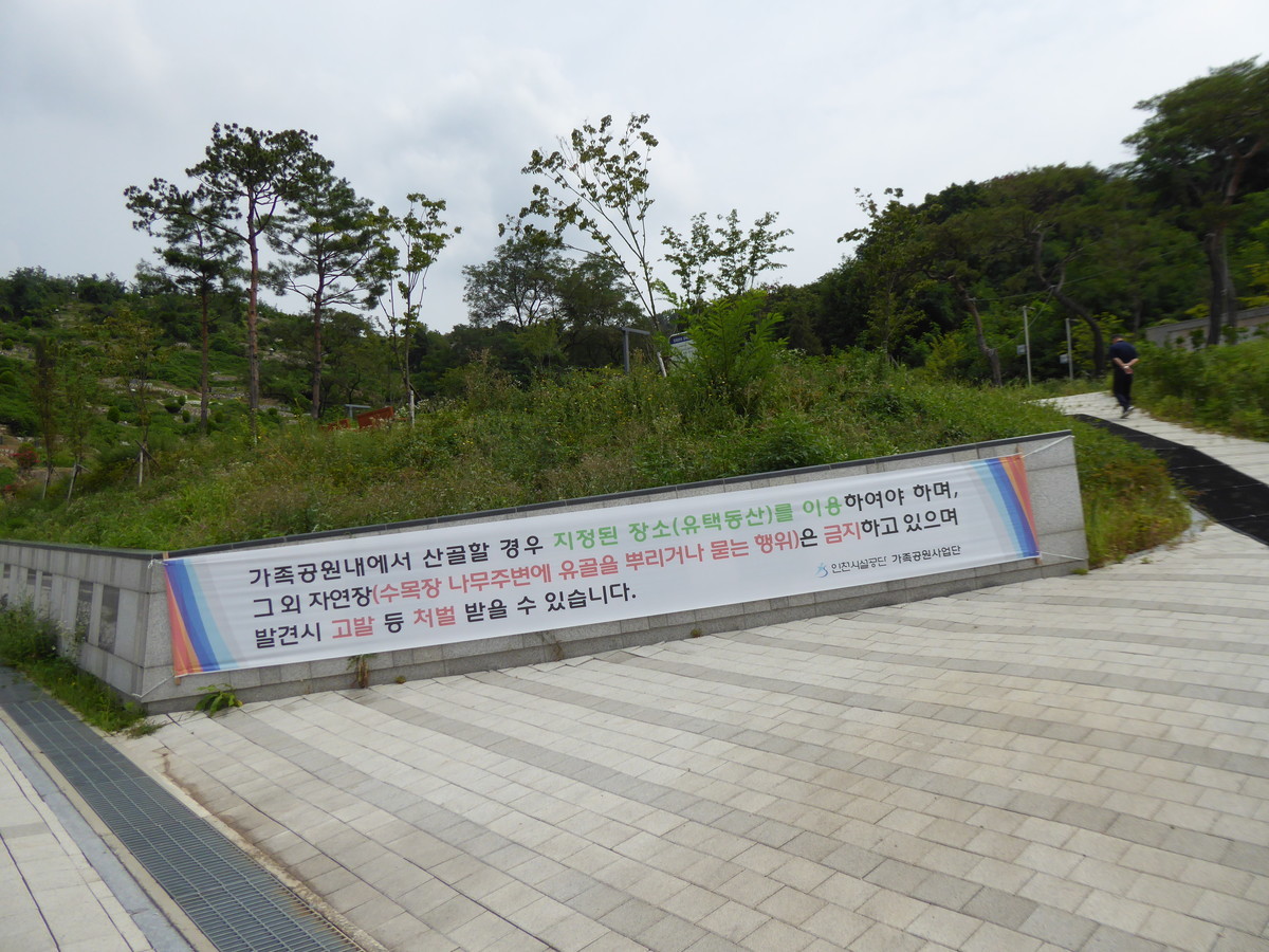 f:id:bluetears_osaka:20190827125159j:plain