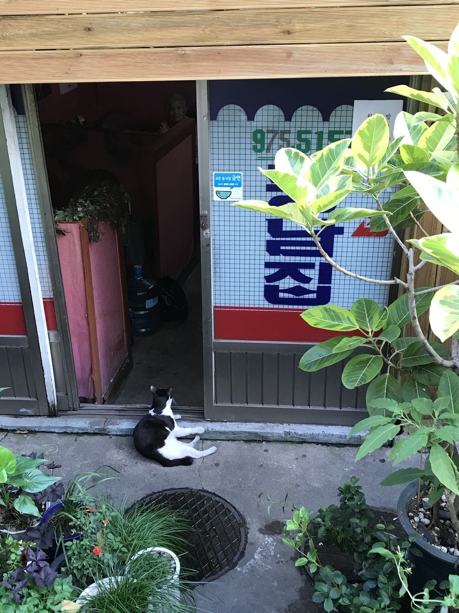 f:id:bluetears_osaka:20190829175057j:plain