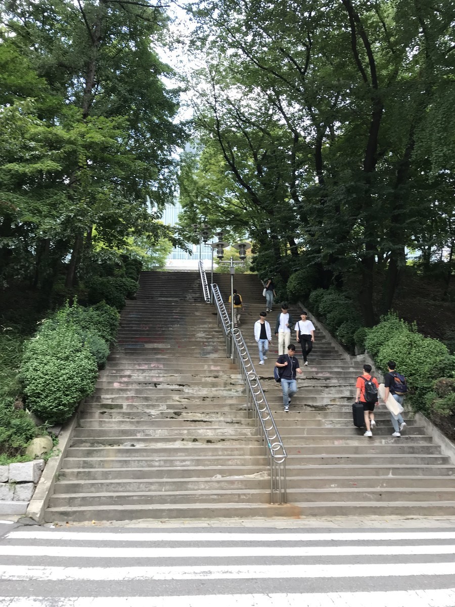 f:id:bluetears_osaka:20190830162321j:plain