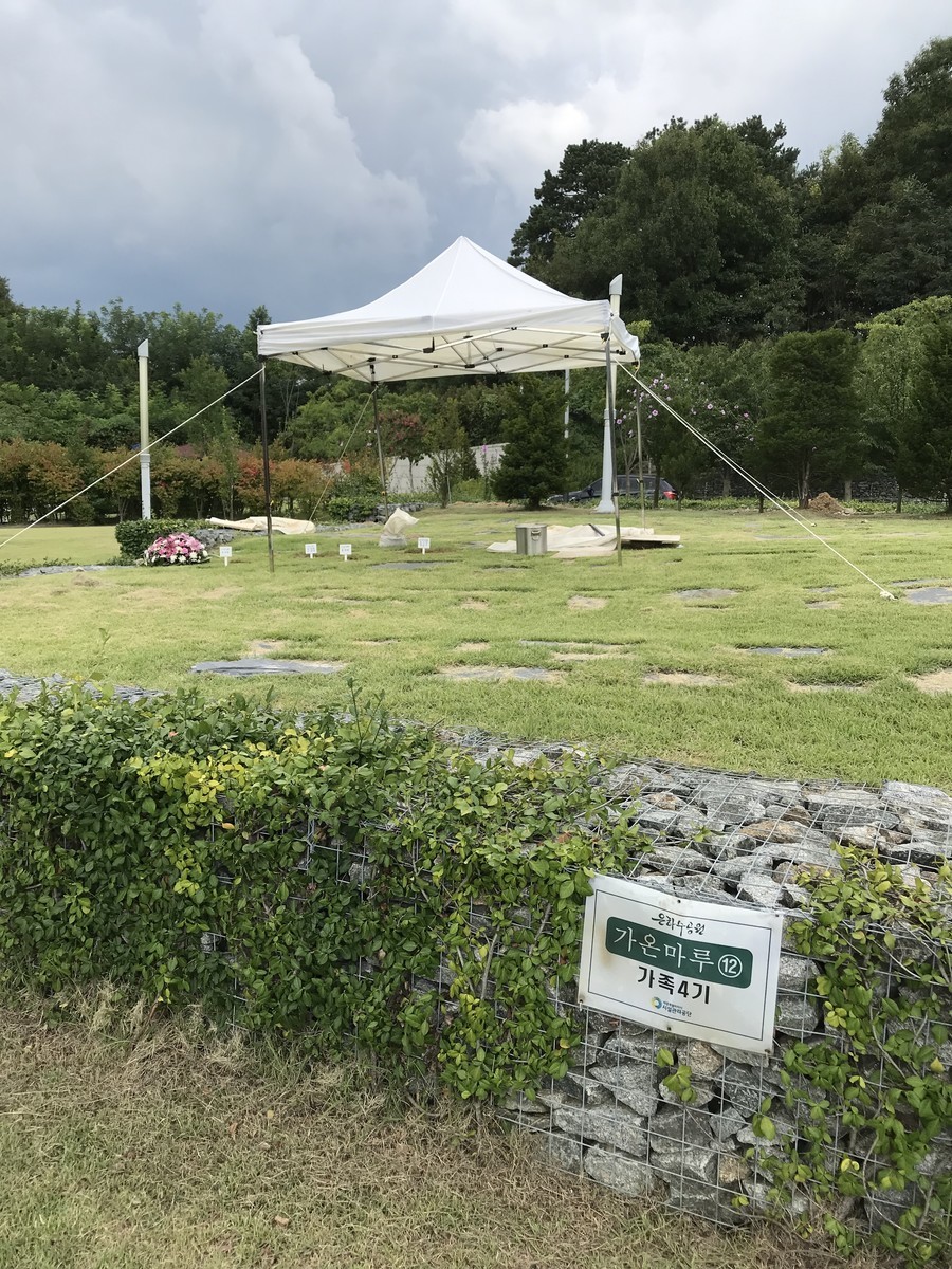 f:id:bluetears_osaka:20190831132231j:plain f:id:bluetears_osaka:20190831132231j:plain