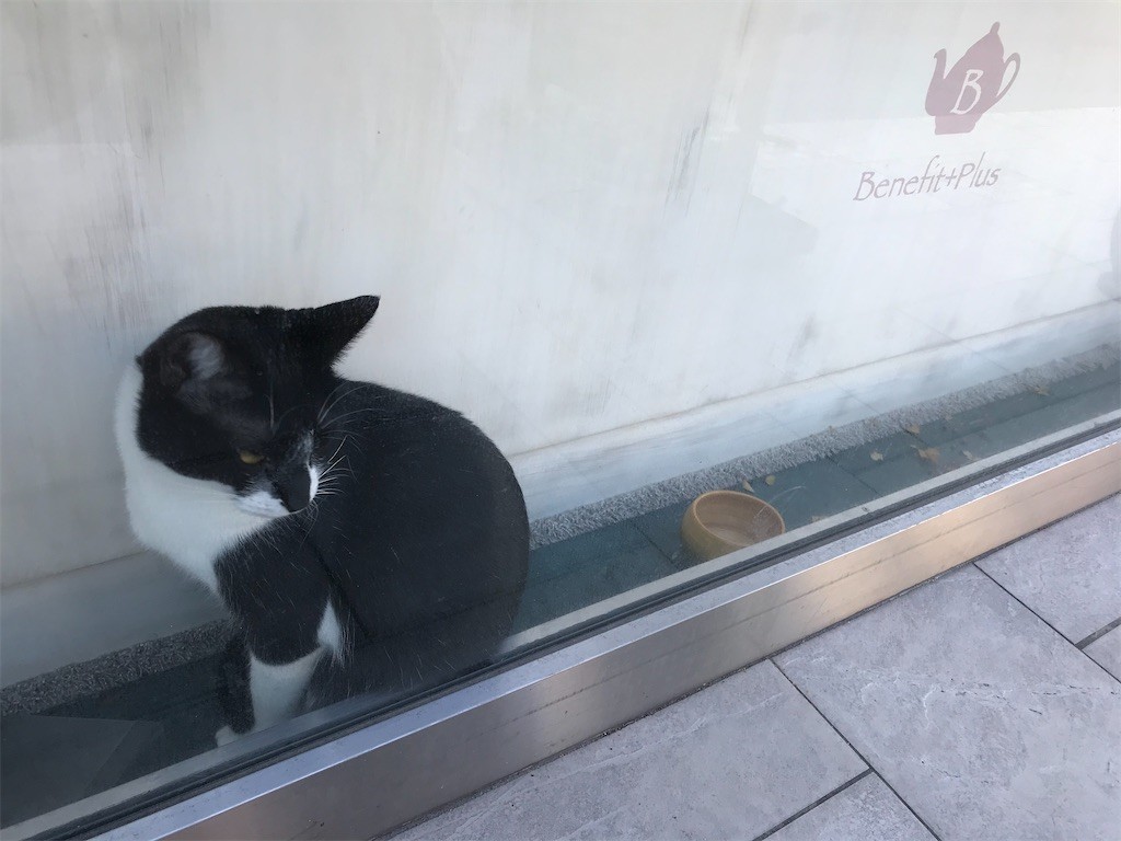 f:id:bluetears_osaka:20191230063219j:image
