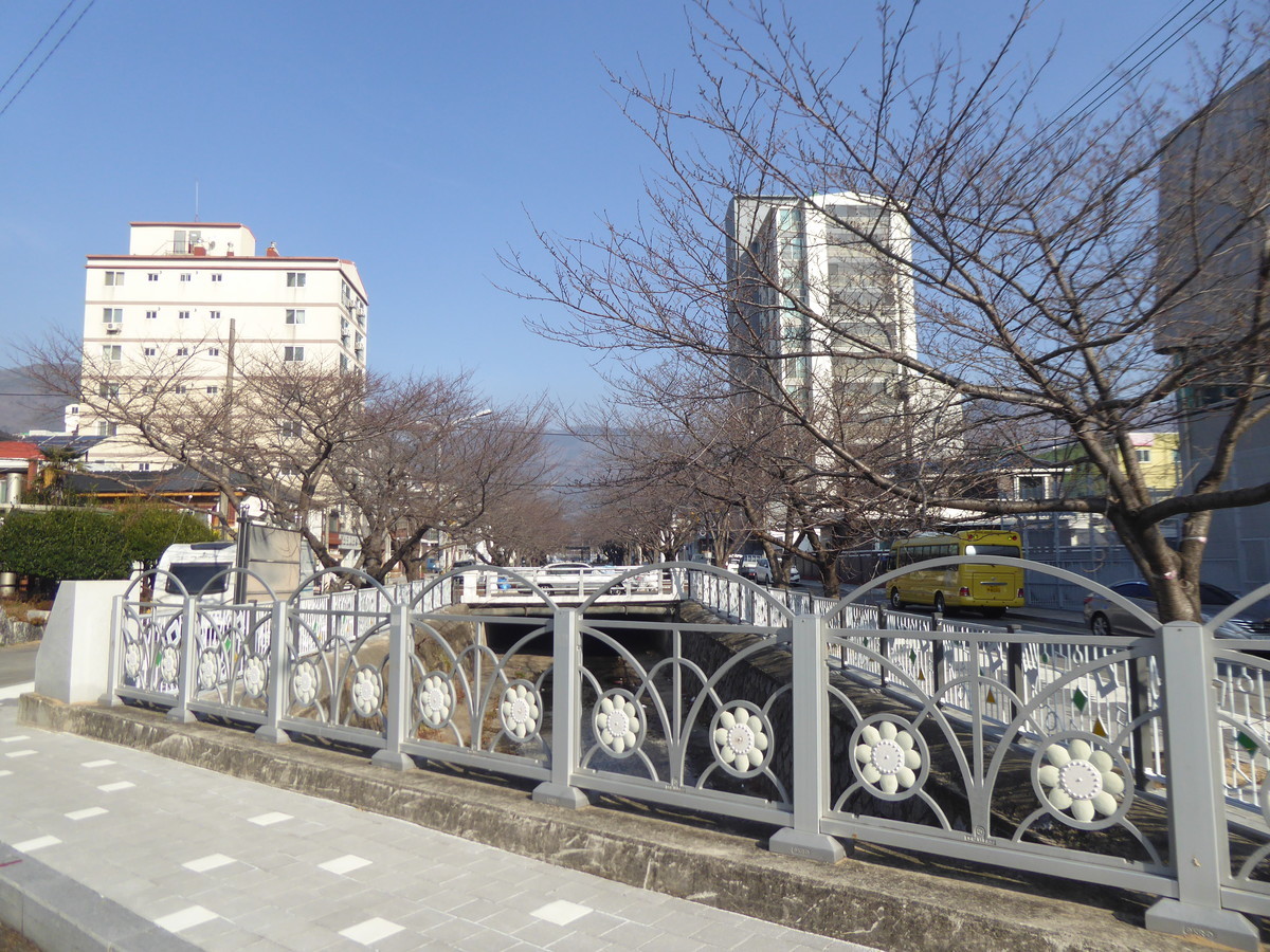 f:id:bluetears_osaka:20200103111254j:plain