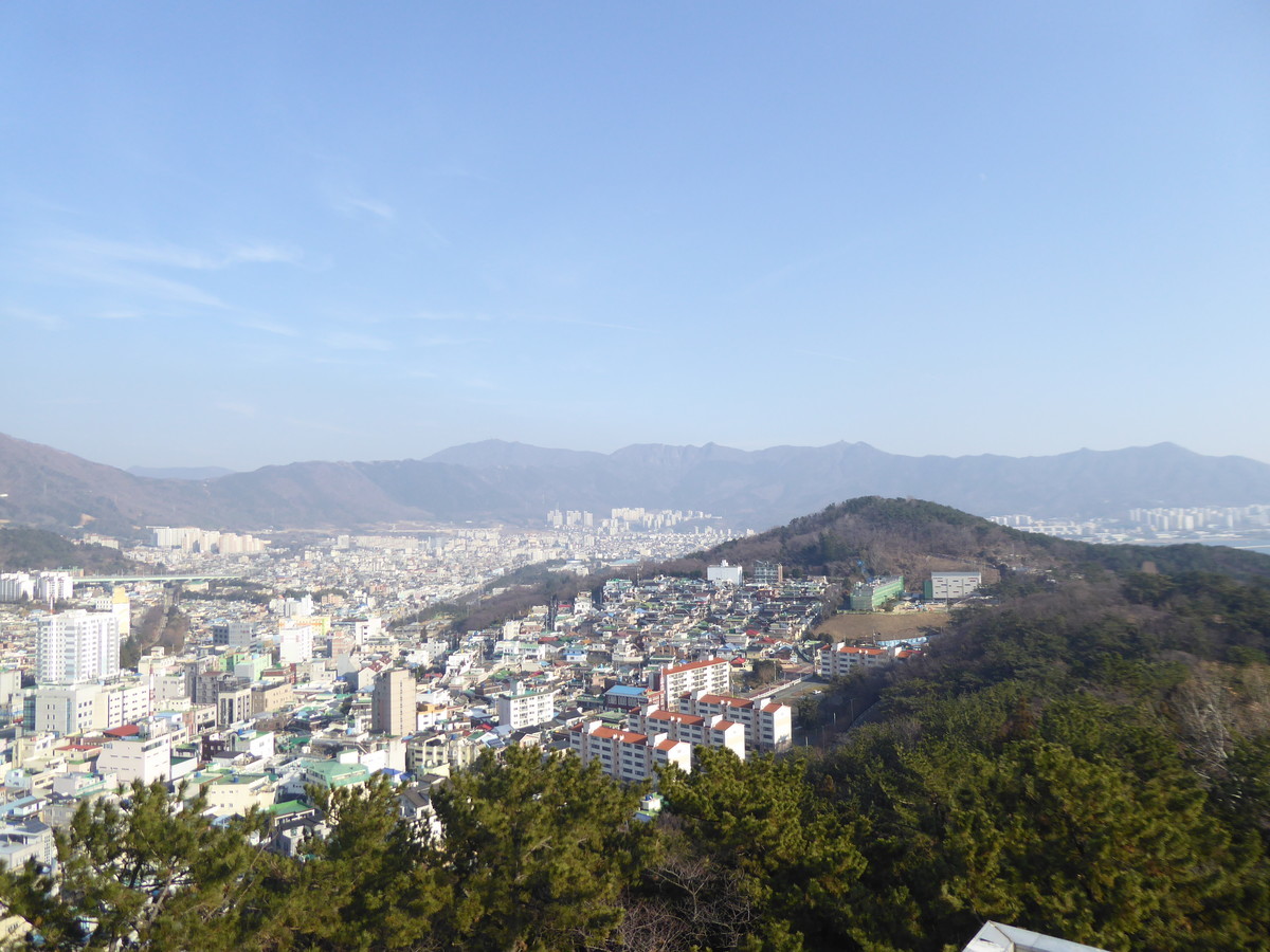 f:id:bluetears_osaka:20200103141243j:plain