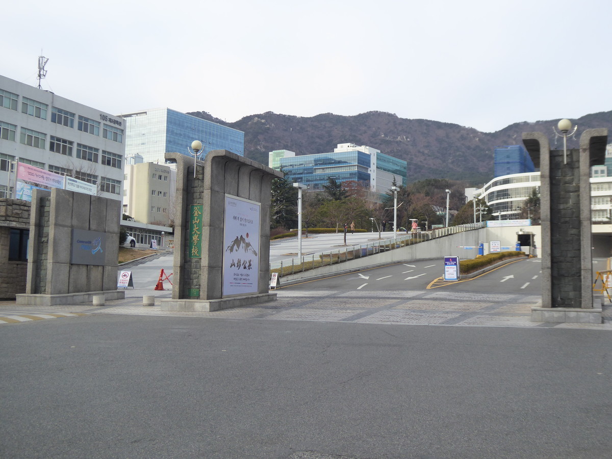 f:id:bluetears_osaka:20200104101835j:plain