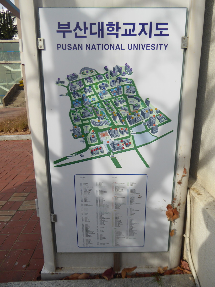 f:id:bluetears_osaka:20200104102255j:plain