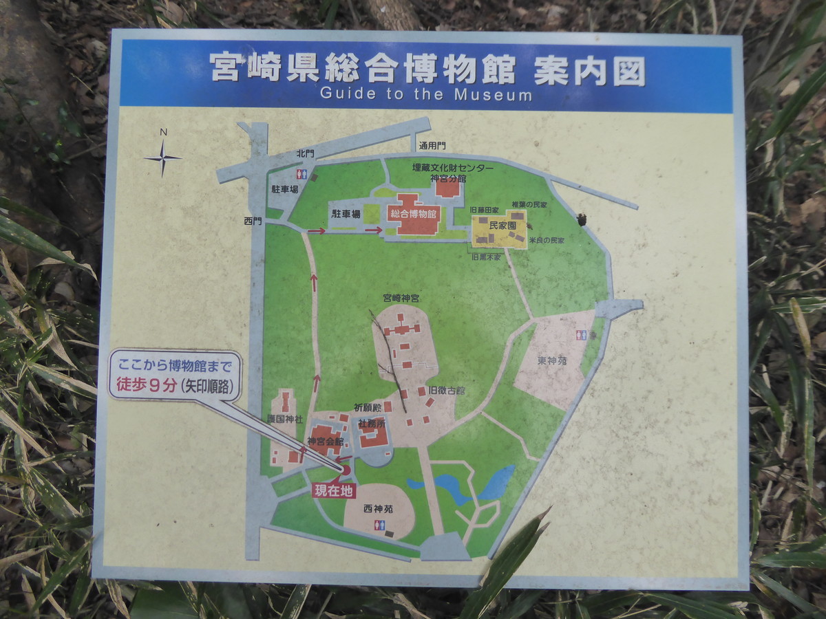 f:id:bluetears_osaka:20200222130515j:plain