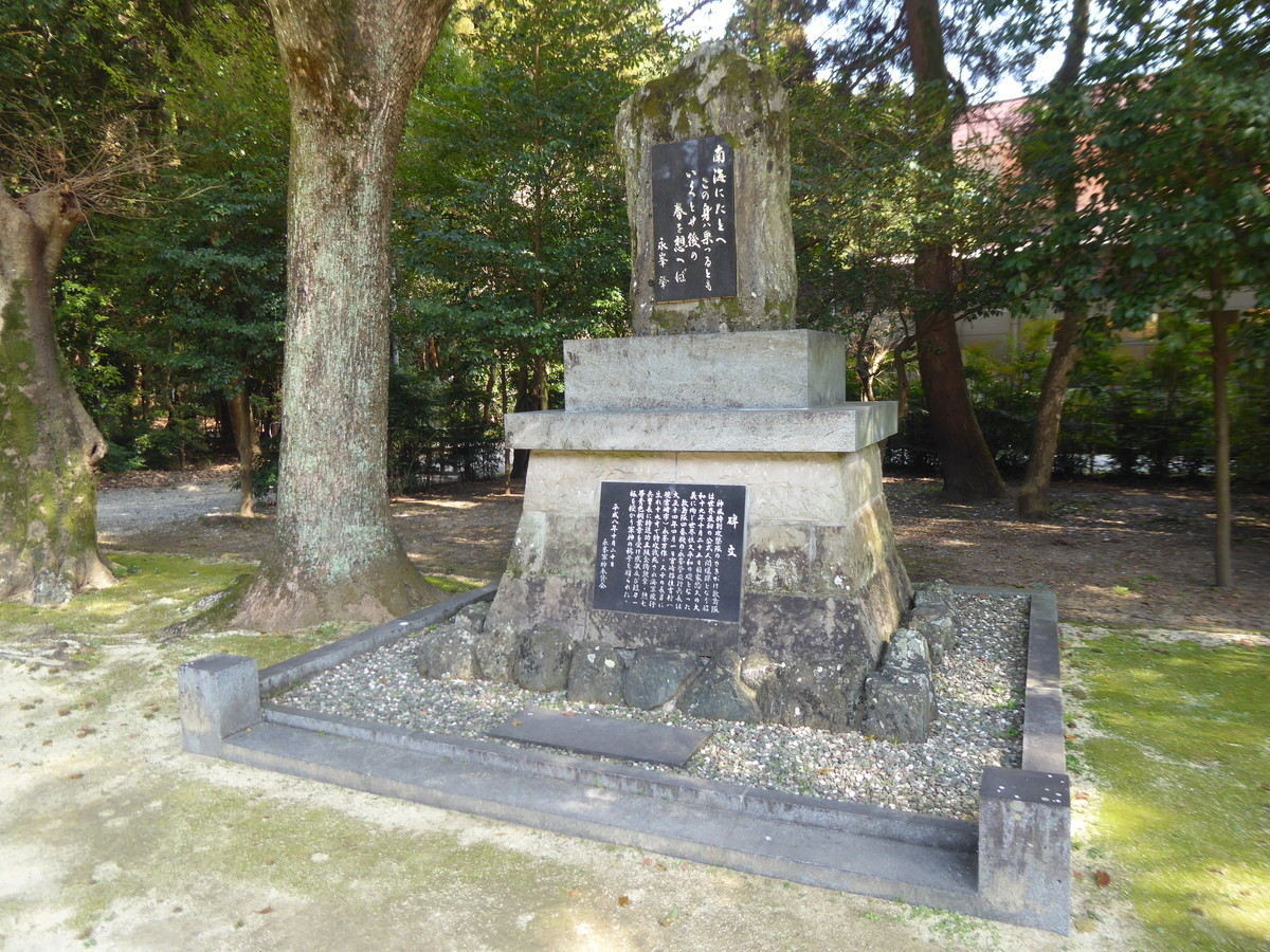 f:id:bluetears_osaka:20200222132345j:plain