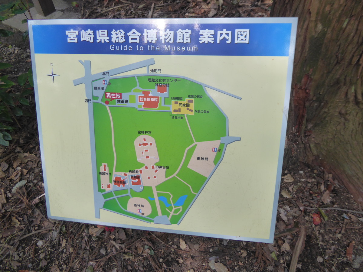 f:id:bluetears_osaka:20200222134742j:plain