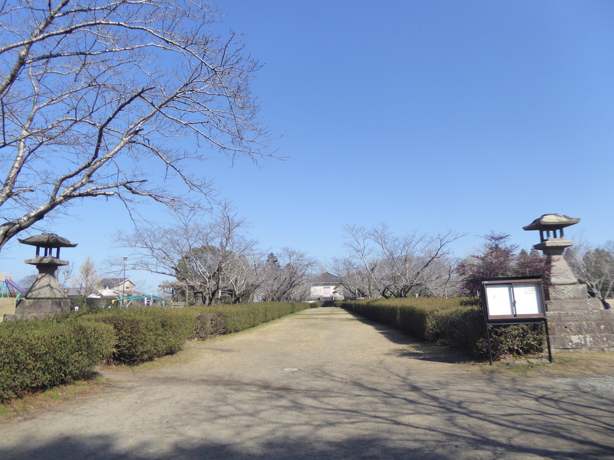 f:id:bluetears_osaka:20200223104033j:plain