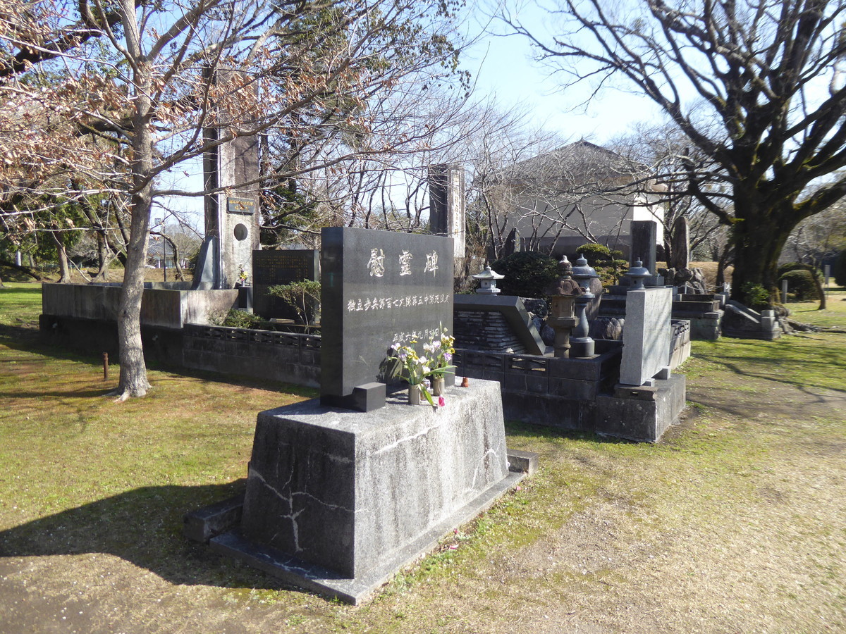 f:id:bluetears_osaka:20200223104633j:plain