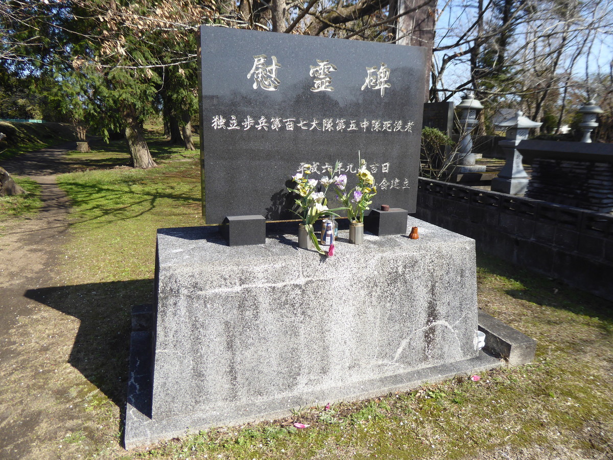 f:id:bluetears_osaka:20200223104645j:plain