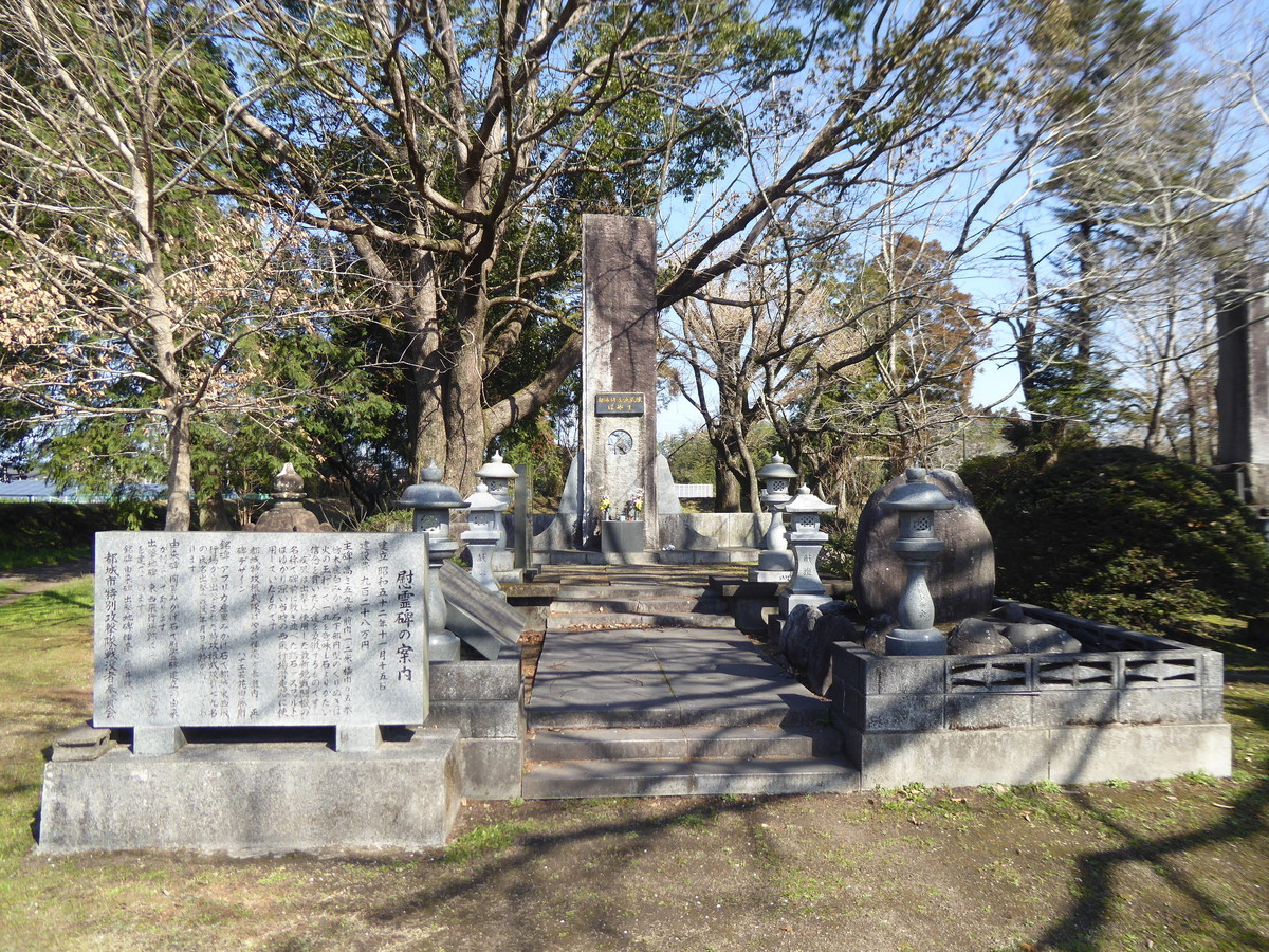 f:id:bluetears_osaka:20200223104738j:plain