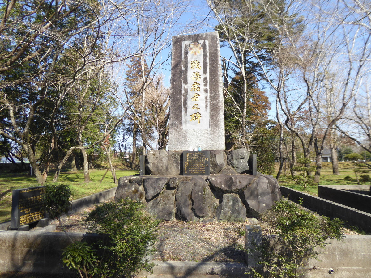 f:id:bluetears_osaka:20200223105333j:plain