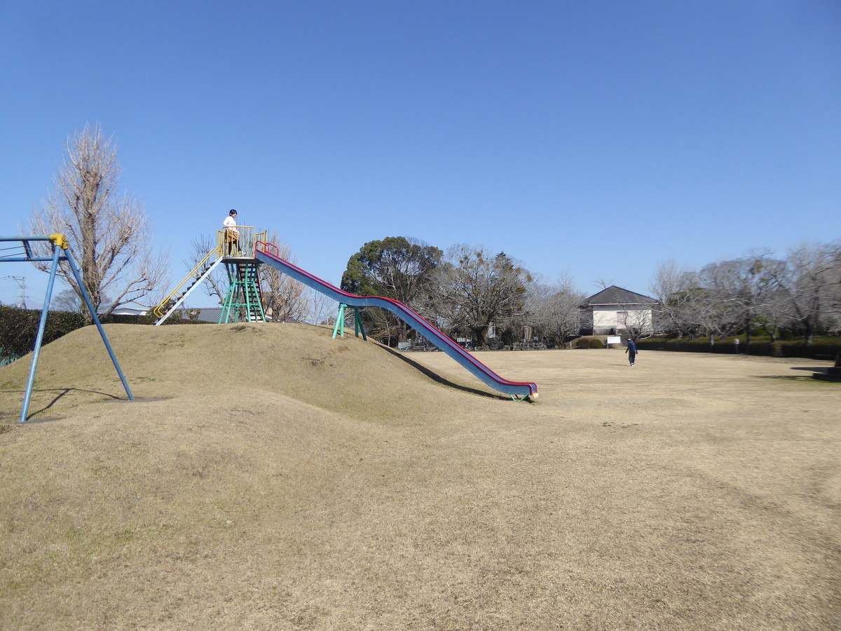 f:id:bluetears_osaka:20200223111546j:plain