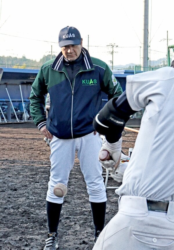 f:id:bluetears_osaka:20200413172012j:plain
