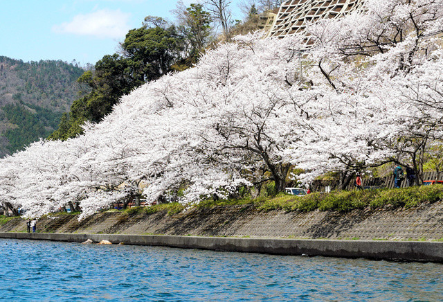 f:id:bluetears_osaka:20200430112359j:plain