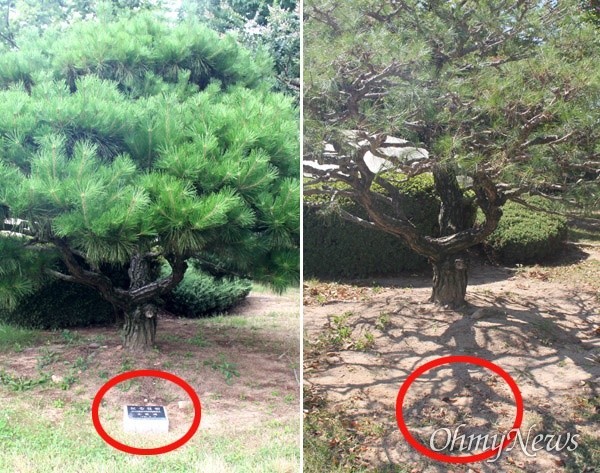 f:id:bluetears_osaka:20201008140038j:plain f:id:bluetears_osaka:20201008140038j:plain