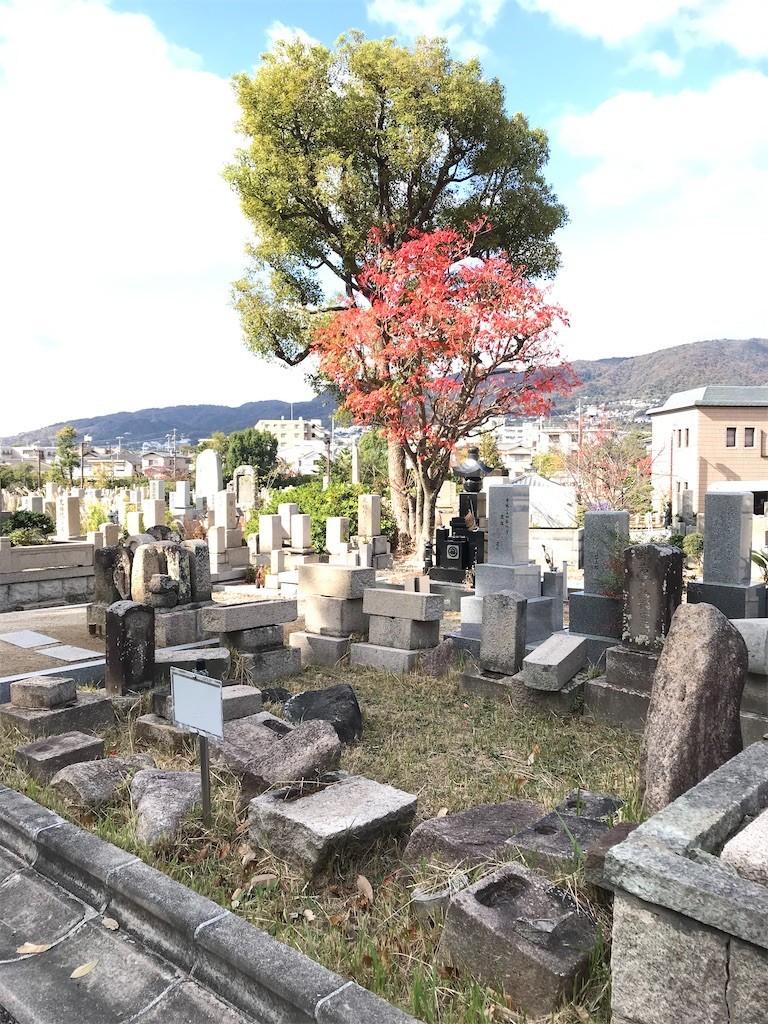 f:id:bluetears_osaka:20201204160826j:plain