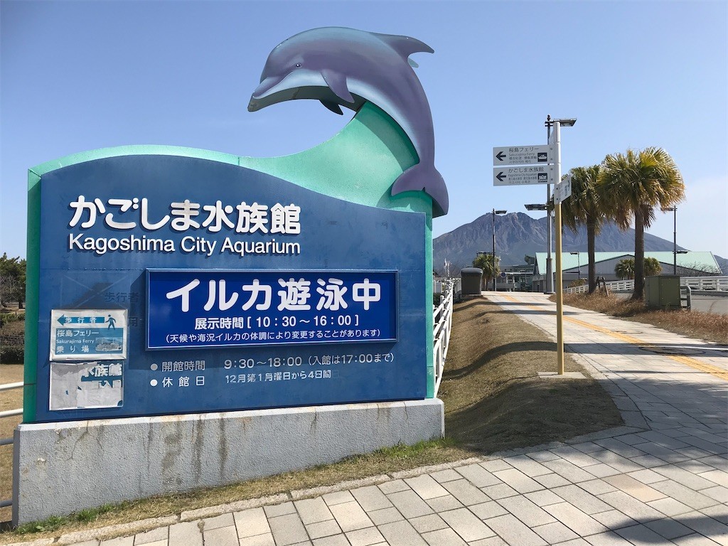 f:id:bluetears_osaka:20201230130732j:plain