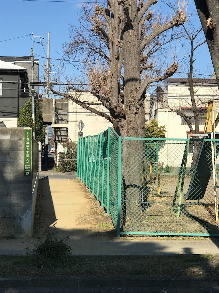 f:id:bluetears_osaka:20210118141608j:plain