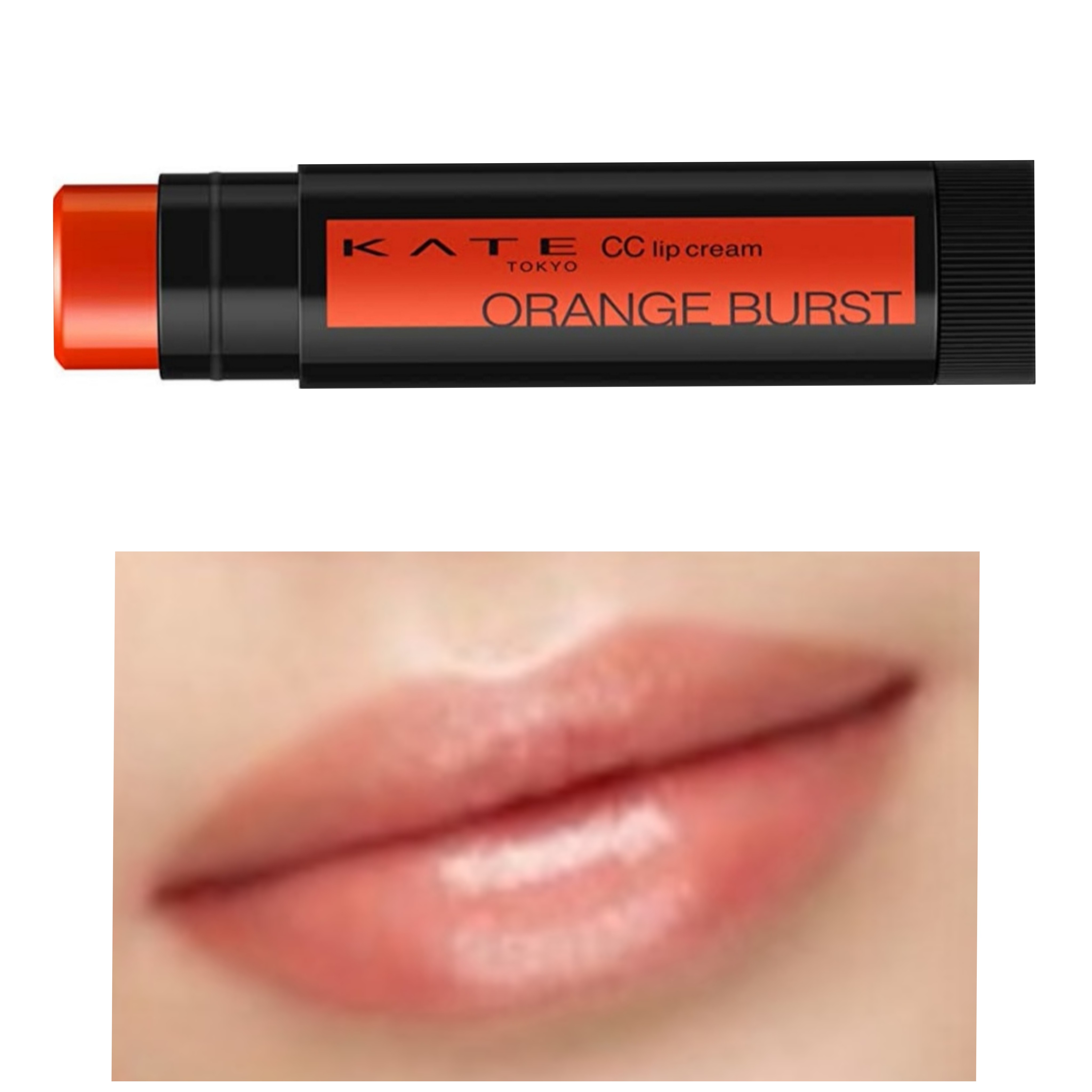 f:id:bluetiful_sunny:20210925133756j:image