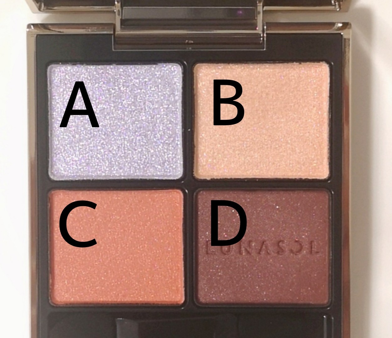 f:id:bluetiful_sunny:20220128100251j:image