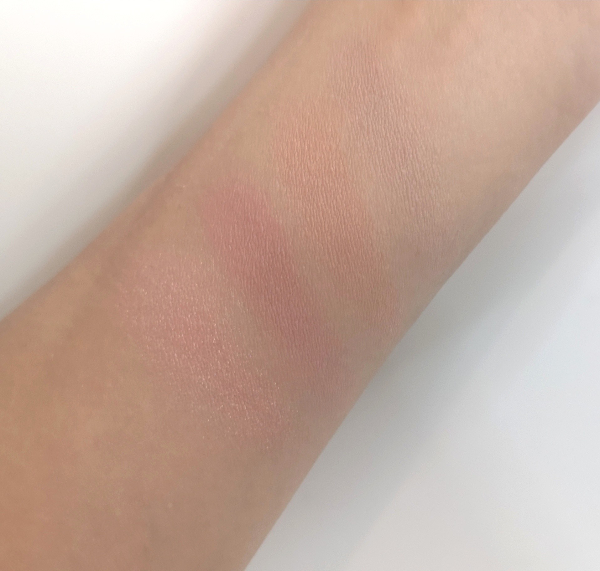 f:id:bluetiful_sunny:20221021103841j:image