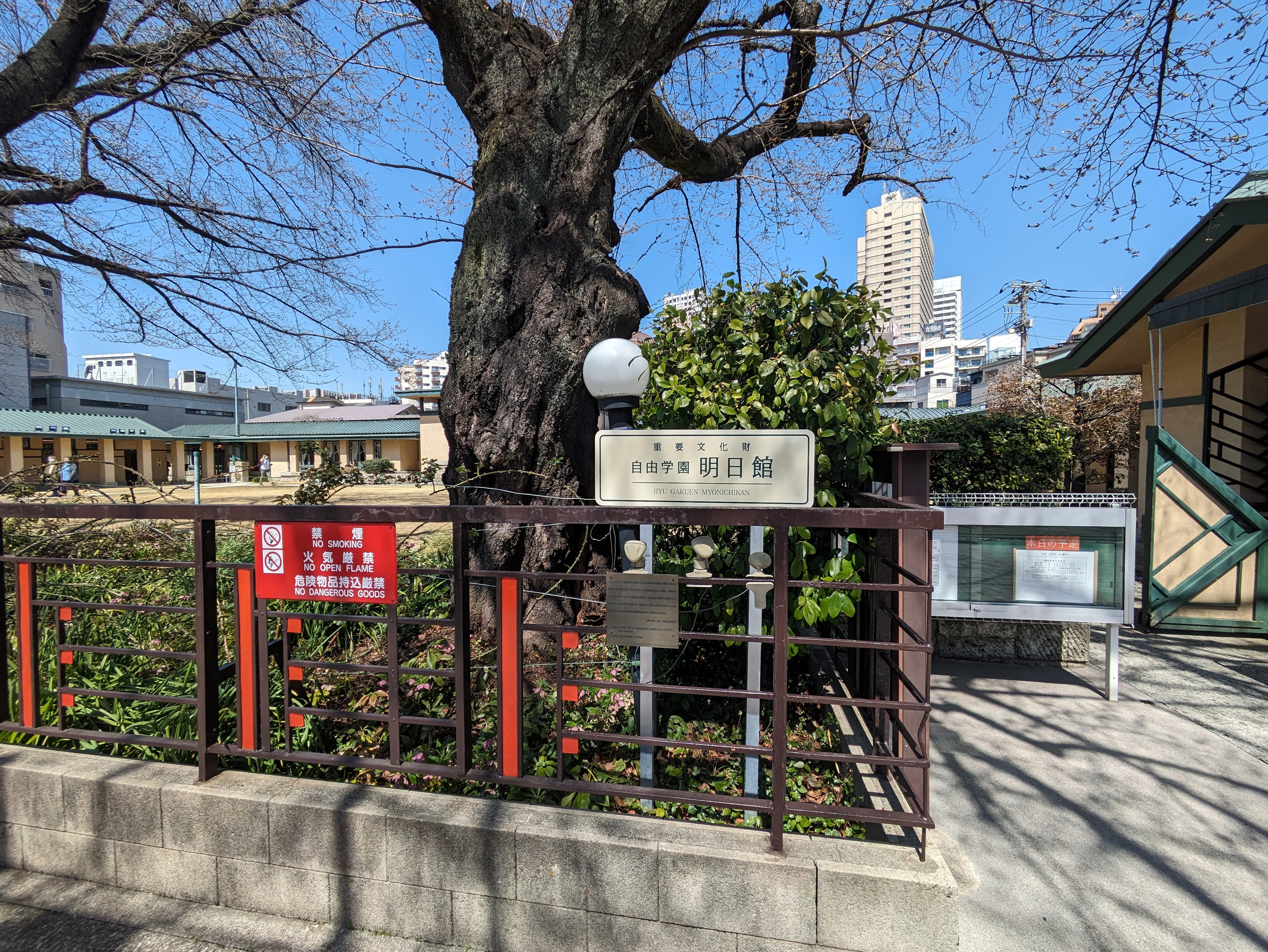 f:id:bluetiful_sunny:20240331213535j:image