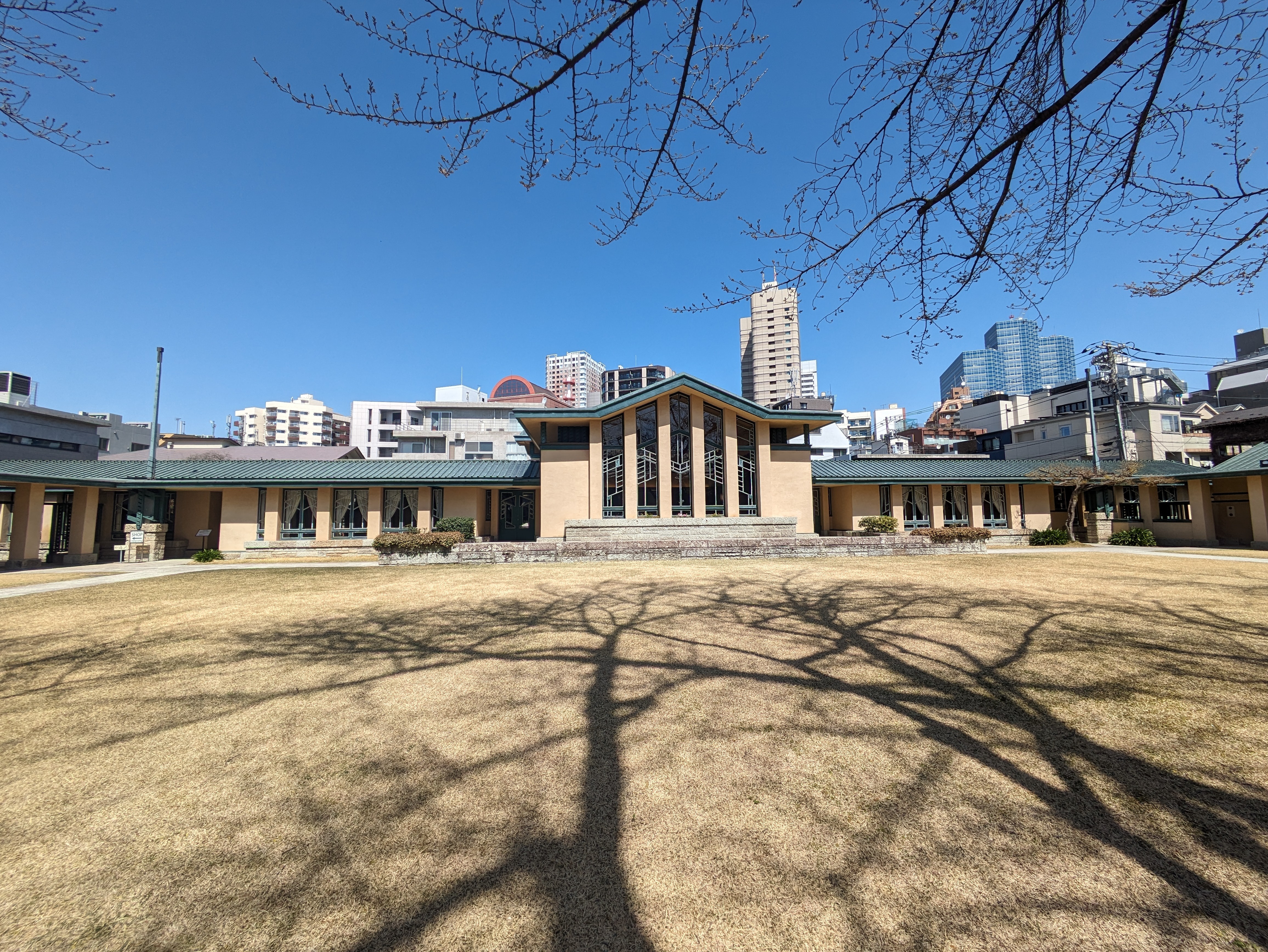 f:id:bluetiful_sunny:20240331213538j:image