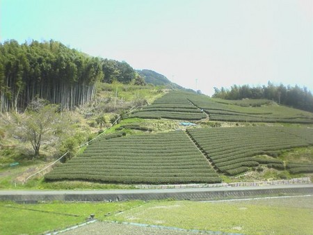 f:id:bluets8:20060417122300j:image