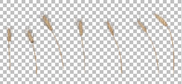 f:id:bluets8:20070225130942j:image