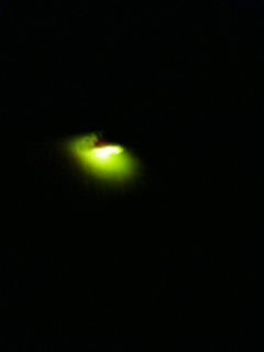f:id:bluets8:20120523214902j:image