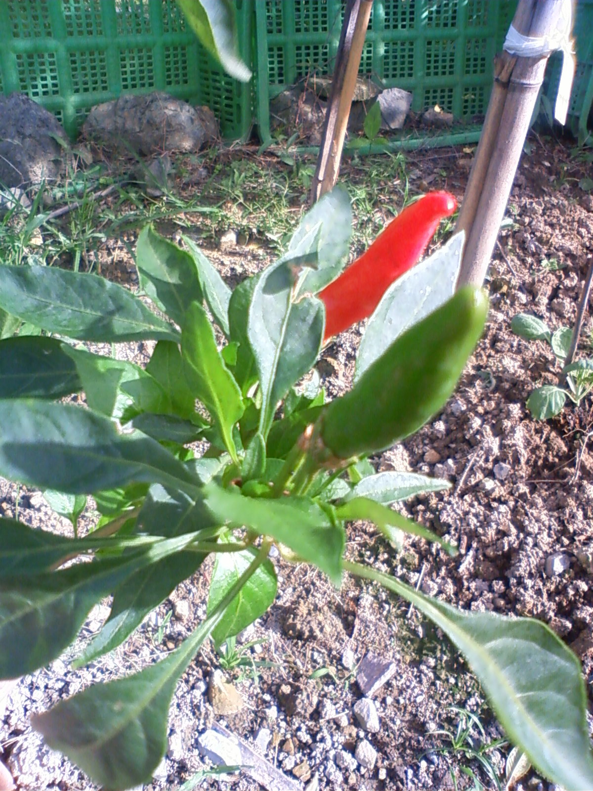 f:id:bluets8:20120926144400j:image f:id:bluets8:20120926144400j:image
