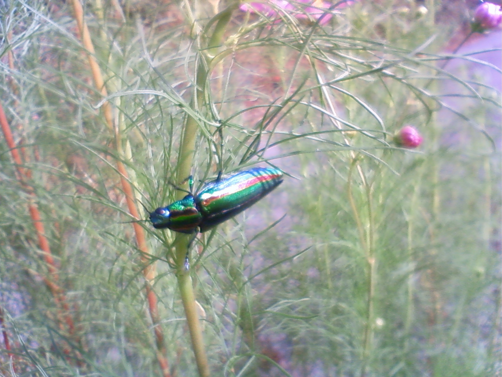 f:id:bluets8:20120926144900j:image