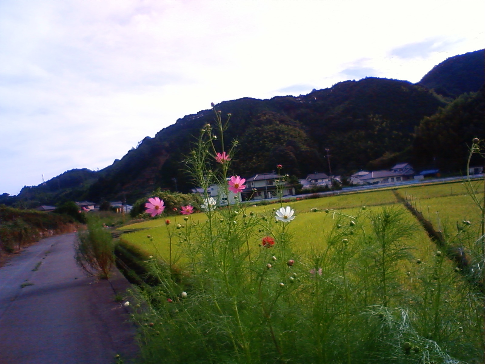 f:id:bluets8:20120926150200j:image