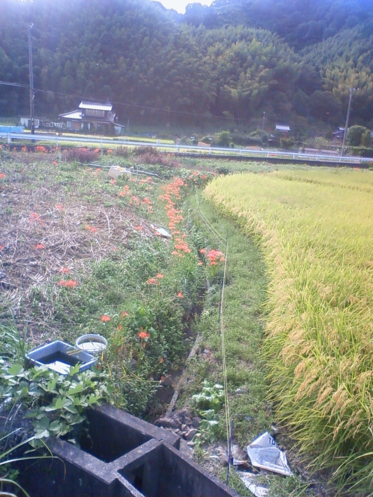 f:id:bluets8:20120930152447j:image f:id:bluets8:20120930152447j:image