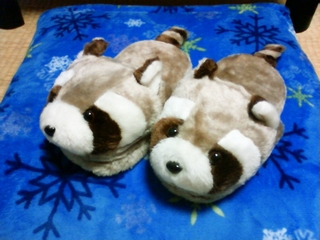 f:id:bluets8:20131023214620j:image