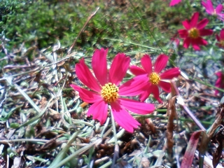 f:id:bluets8:20131023214623j:image
