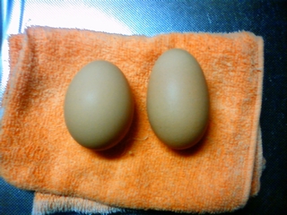 f:id:bluets8:20131109224052j:image