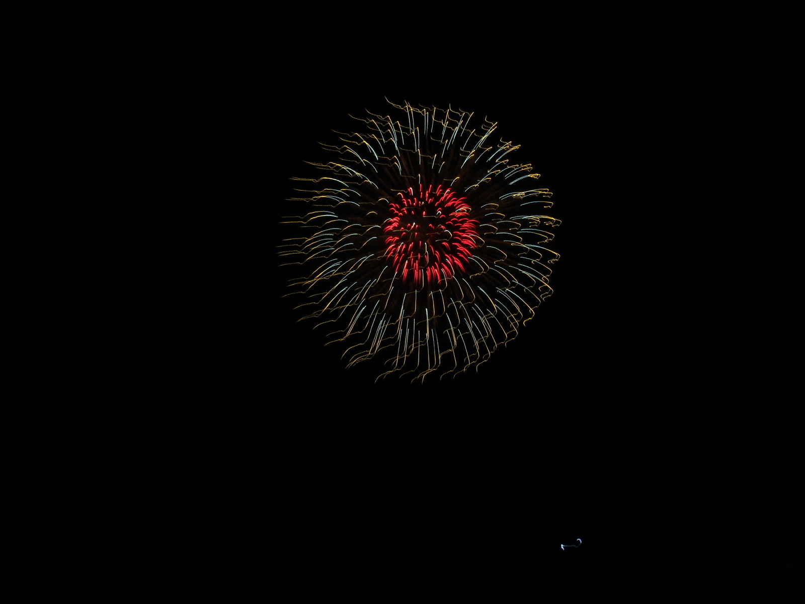 f:id:bluets8:20190713212853j:plain:w400 f:id:bluets8:20190713212853j:plain:w400
