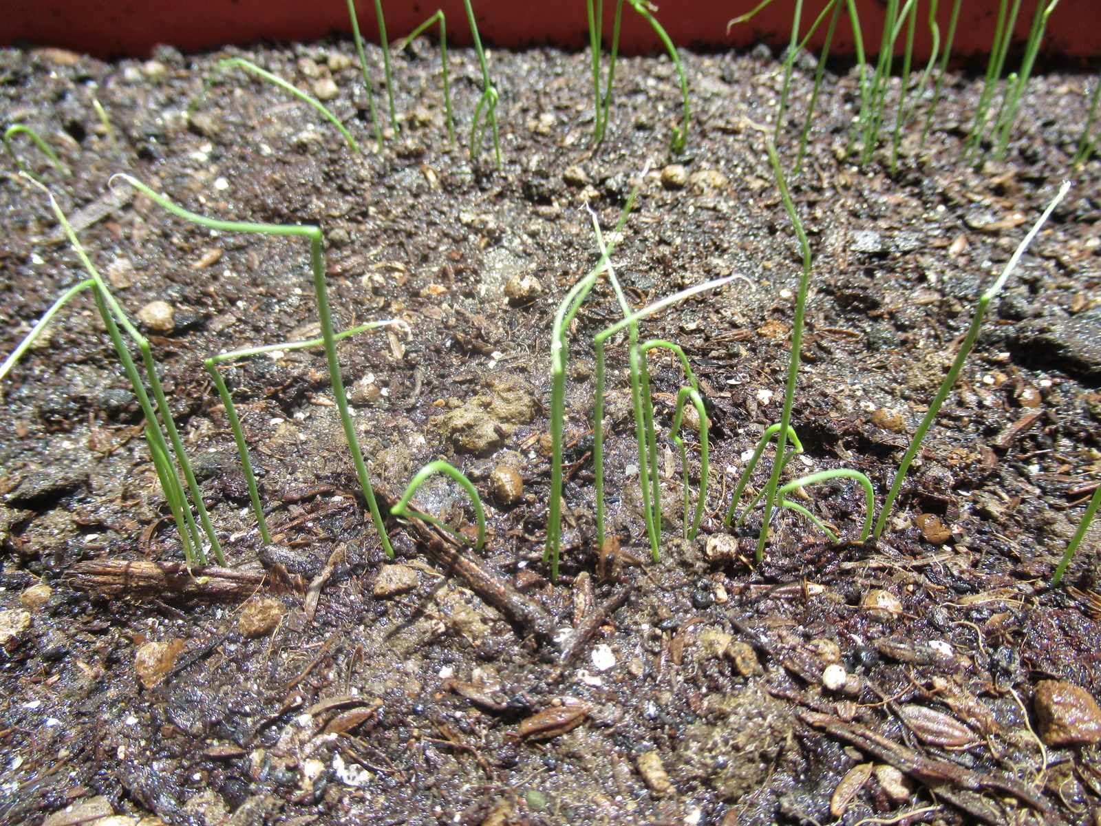 f:id:bluets8:20200524173616j:plain:w400