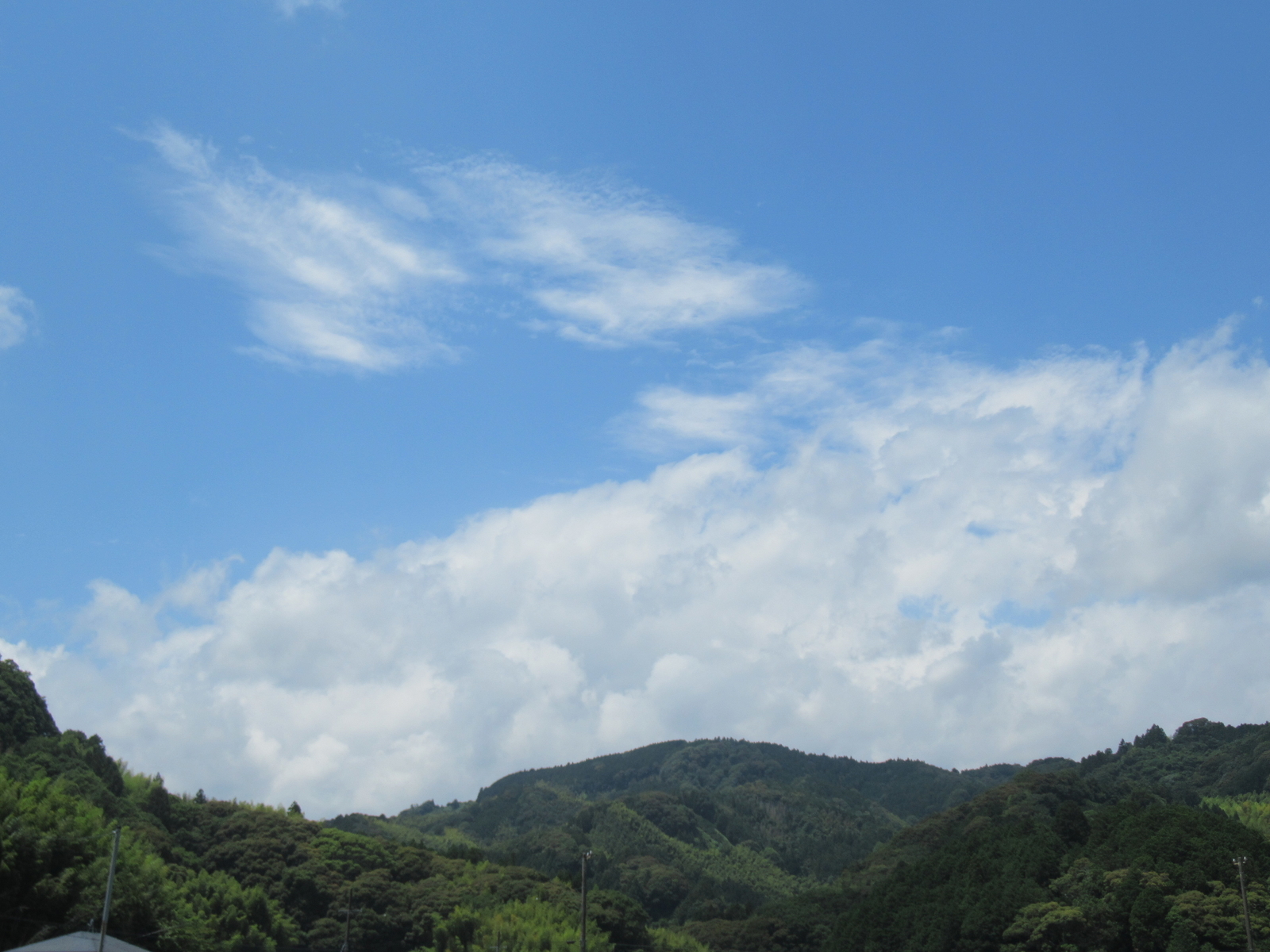 f:id:bluets8:20200626200231j:plain:w400