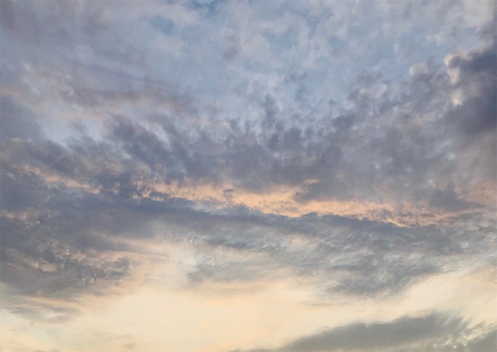 f:id:bluewinking:20180726144431j:image