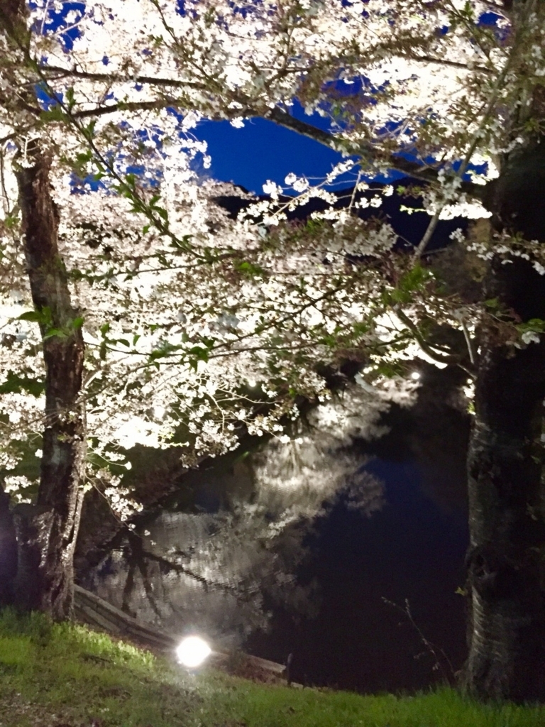 f:id:blumen7:20180410184621j:plain f:id:blumen7:20180410184621j:plain