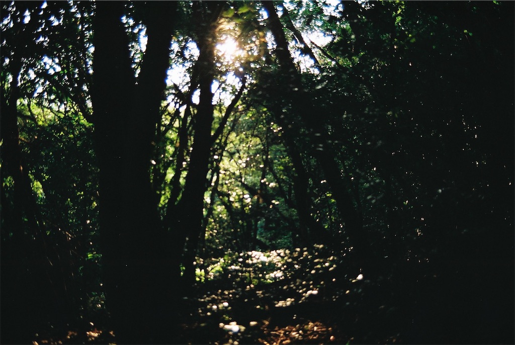 f:id:bm8nat:20200718214005j:image f:id:bm8nat:20200718214005j:image