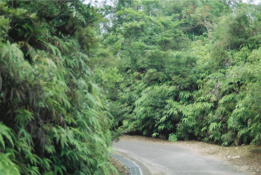 f:id:bm8nat:20200718214008j:image f:id:bm8nat:20200718214008j:image