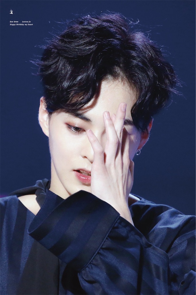 f:id:bmotimoti:20190210142801j:image f:id:bmotimoti:20190210142801j:image