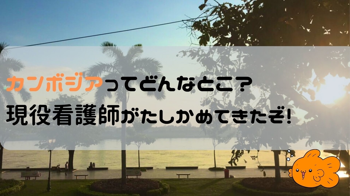 f:id:bmw-aqua:20191122195822j:plain